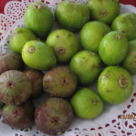 Matilde Hotel Marina di Massa