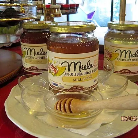 Matilde Hotel